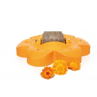 Officinalis Flower with Lolly Roll - Orange:Carrot/Marigold