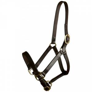 Gatsby Leather Adjustable Turnout Halter without Snap