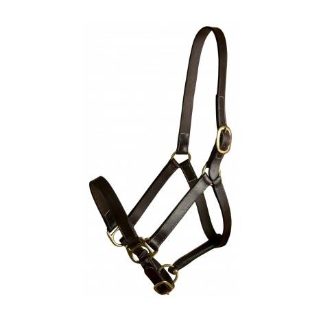 Gatsby Leather Adjustable Turnout Halter without Snap