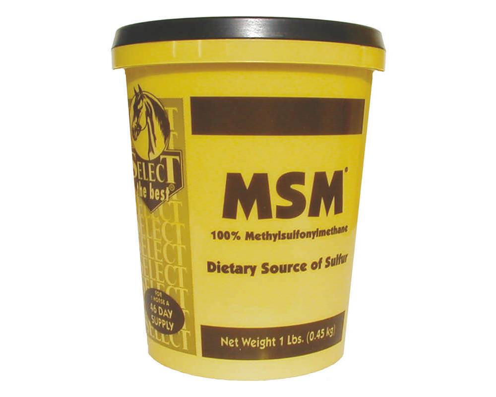 Select MSM Powder EquestrianCollections