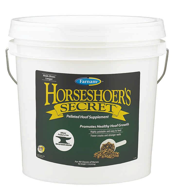 Farnam Horseshoers Secret (Original)
