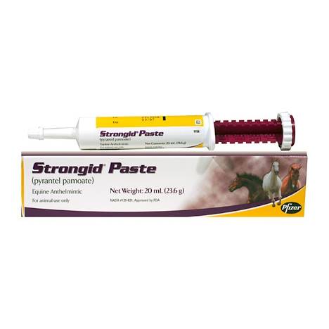 Pfizer Health Strongid Paste Horse Dewormer