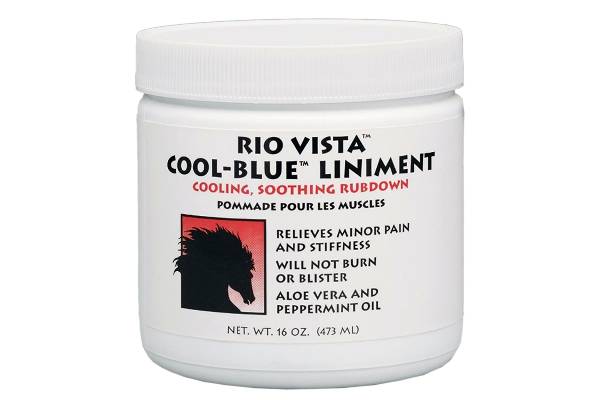 Rio Vista Horse Cool-Blue Linimnet