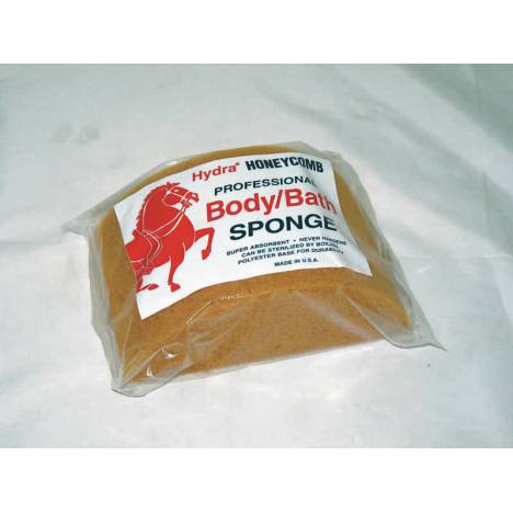 Hydra Honeycomb Body Sponge