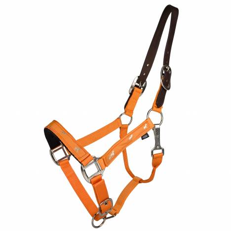 Gatsby Nylon Breakaway Halter with Horse Overlay & Snap