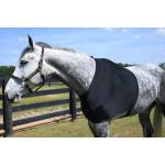 Gatsby Horse Blankets, Sheets & Coolers