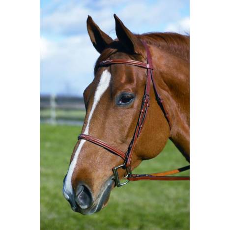 Henri de Rivel Fancy Raised Bridle with Laced Reins