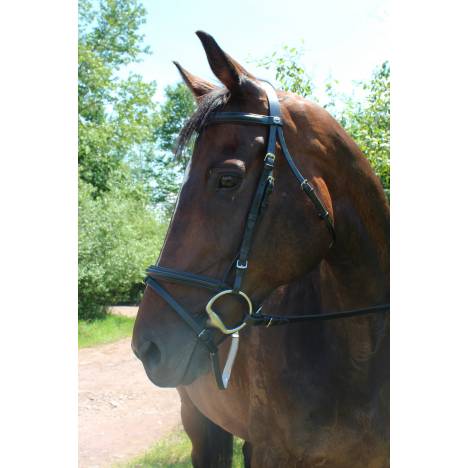 Henri de Rivel Padded Dressage Bridle with Flash