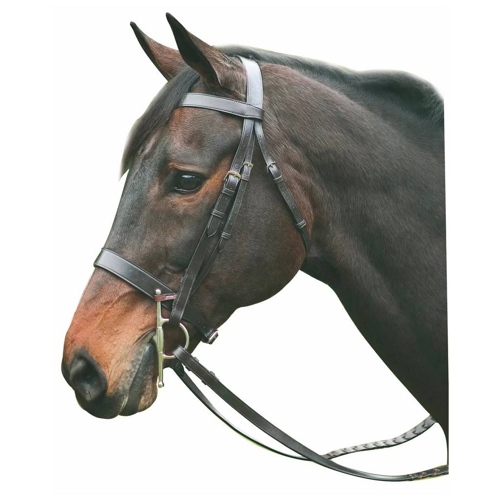 Henri de Rivel Collection Hunt Bridle