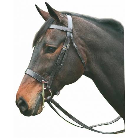 Henri de Rivel Collection Hunt Bridle