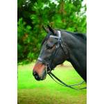 Henri de Rivel English Horse Tack