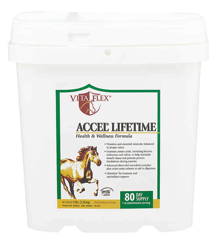 5-143142 Vita Flex Accel Lifetime Supplement sku 5-143142