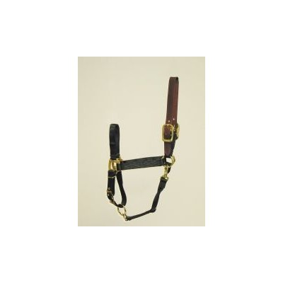 Hamilton Horse Halter with Leather Crown