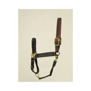 Hamilton Horse Halter with Leather Crown