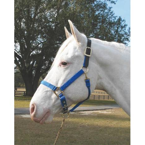 Hamilton Yearling Halter with Leather Crown