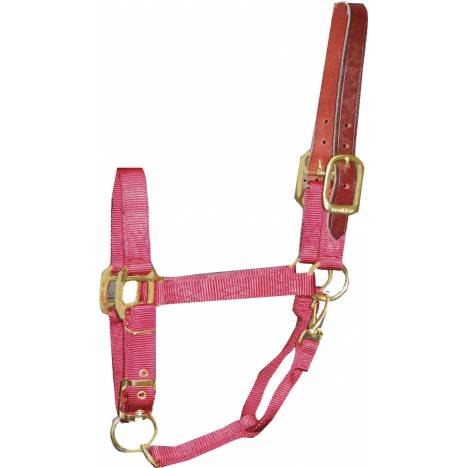 Hamilton Yearling Halter with Leather Crown