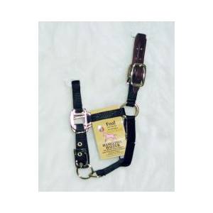 Hamilton Foal Halter with Leather Crown