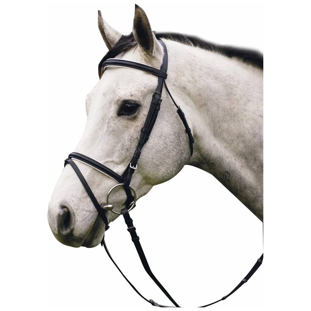 Henri de Rivel Padded Dressage Bridle with Flash