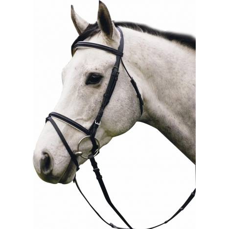 Henri de Rivel Padded Dressage Bridle with Flash