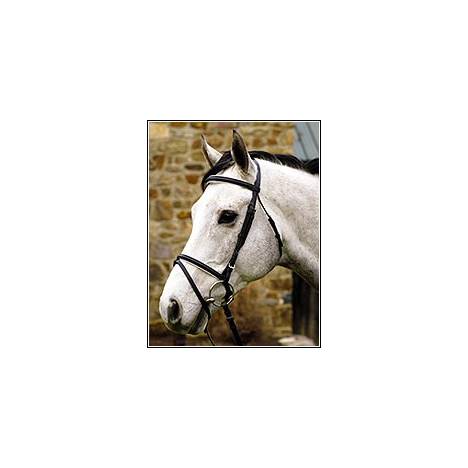 Henri de Rivel Padded Dressage Bridle with Flash