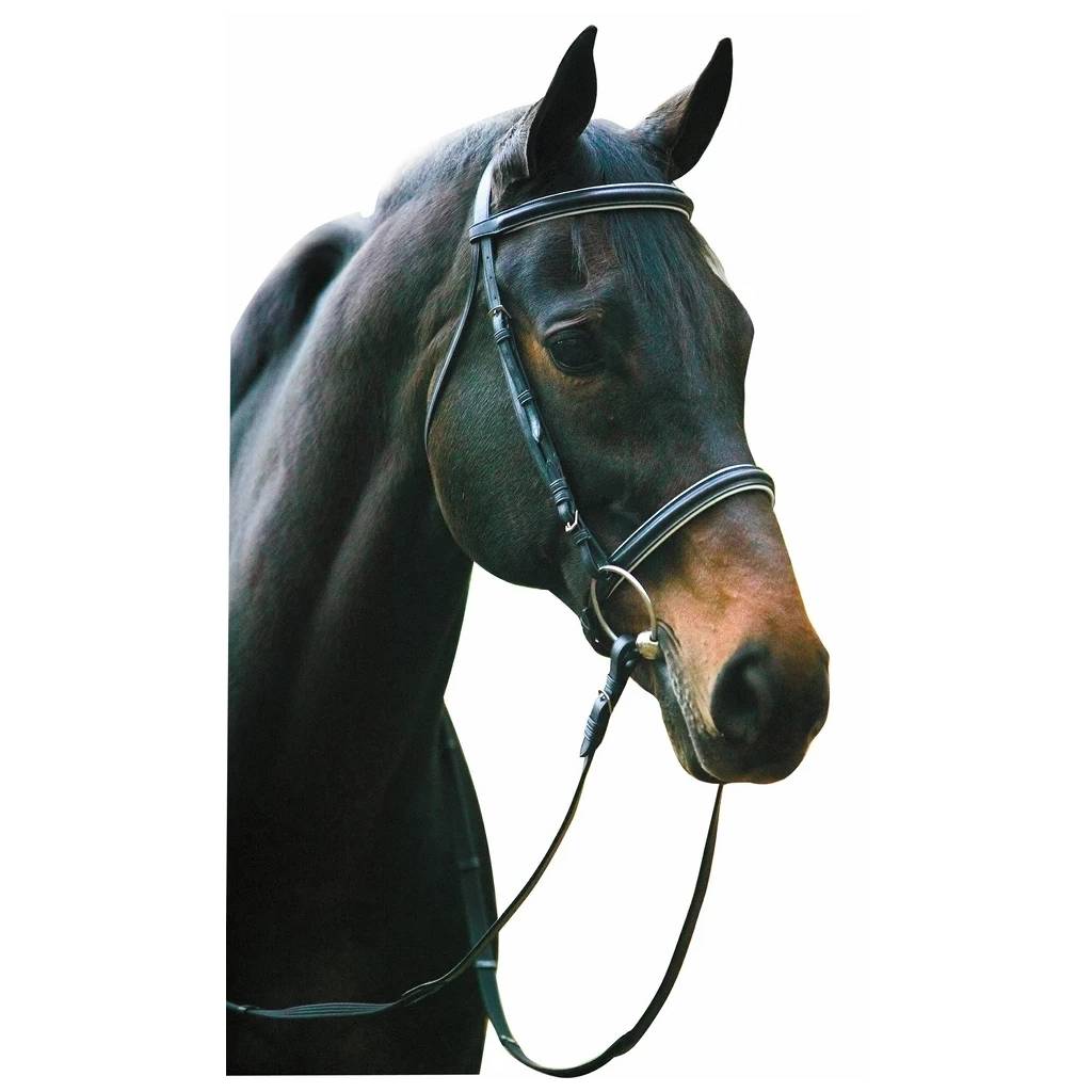 Henri de Rivel Collection Padded Dressage Bridle