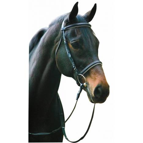 Henri de Rivel Collection Padded Dressage Bridle