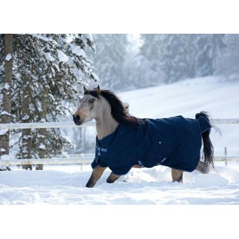 Amigo Bravo-12 By Horseware Pony Heavy Weight Turnout Blanket