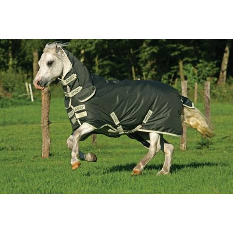 Amigo Bravo-12 by Horseware Pony Medium Weight Turnout Blanket