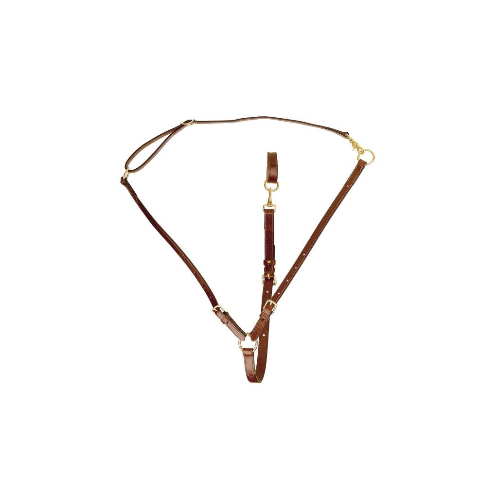 Tory Leather Adjustable Training Martingale - Brass Hardware