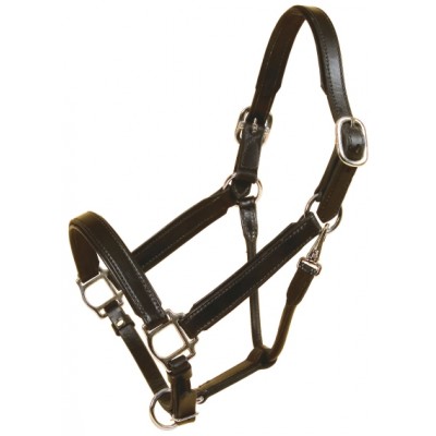 Tory Leather Bridle Leather Padded Halter with  Nickel Hardware