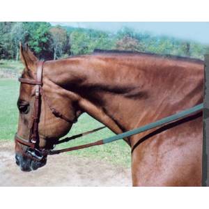 TORY LEATHER Padded Headstall with Flash