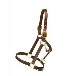 Tory Leather Triple Stitched Halter - Flat Throat & Brass Hardware