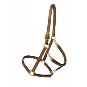 Tory Leather Track/Grooming Conversion Halter with  Brass Hardware