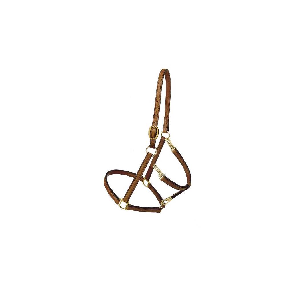 Tory Leather Track/Grooming Conversion Halter with Brass Hardware