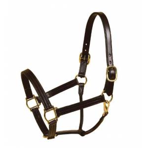 Tory Leather Triple Stitched Halter - Snap & Brass Hardware
