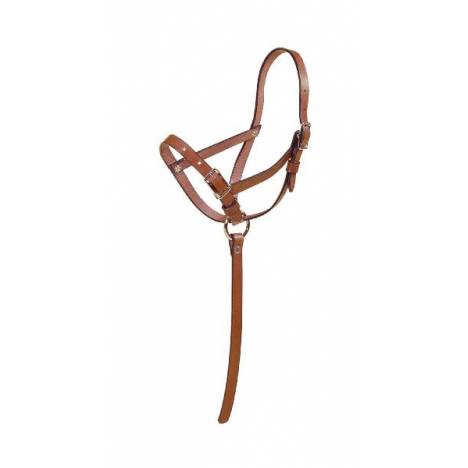 Tory Leather Leather Riveted Slip Foal Halter