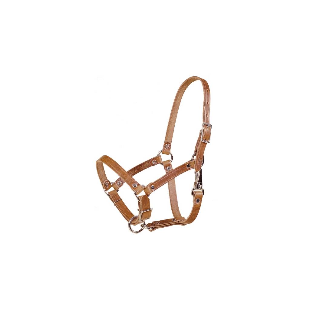 Tory Leather Leather Foal Riveted Halter