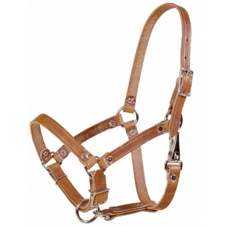 Tory Leather Leather Foal Riveted Halter