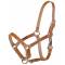 Tory Leather Leather Foal Riveted Halter