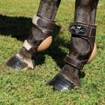 Professionals Choice Horse Boots