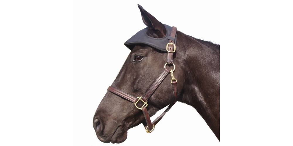Simulated Leather Head Bumper EquestrianCollections
