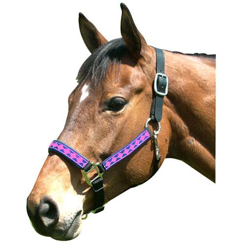 Custom leather halter – Diamond J Equine