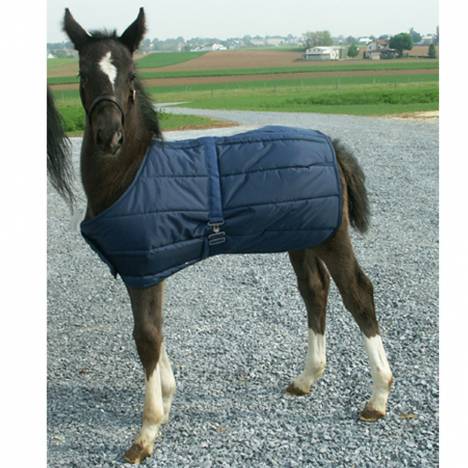 Snuggie Foal Blanket