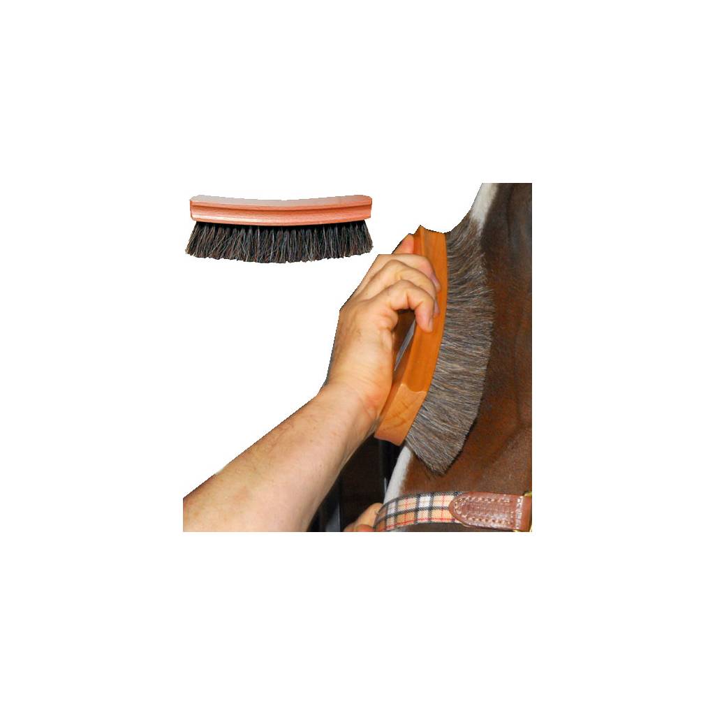 Body Brush Horse Hair