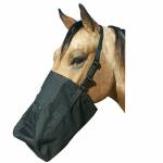 Best Friend Horse Barn & Stable Supplies or Equipment