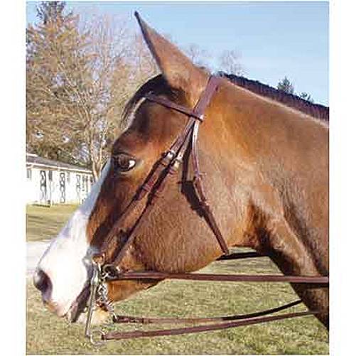 Legacy Weymouth Work Bridle