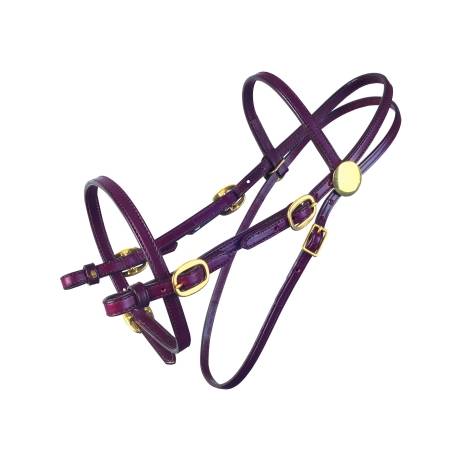 Tucker Pleasure Trail Bridle