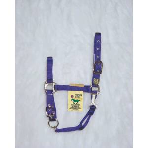 Hamilton Yearling Halter with Adjustable Chin and Snap