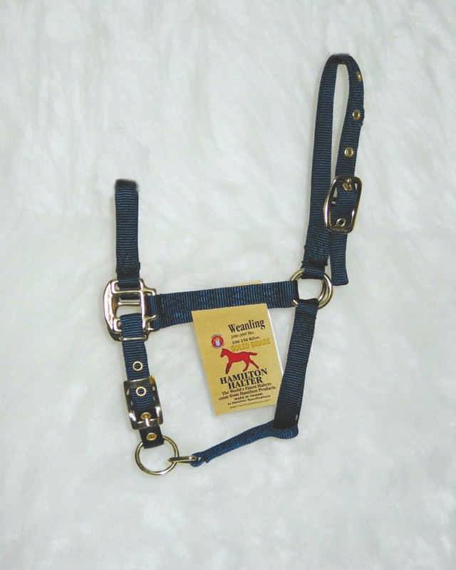 5-205529 Hamilton Weanling Halter with Adjustable Chin and  sku 5-205529