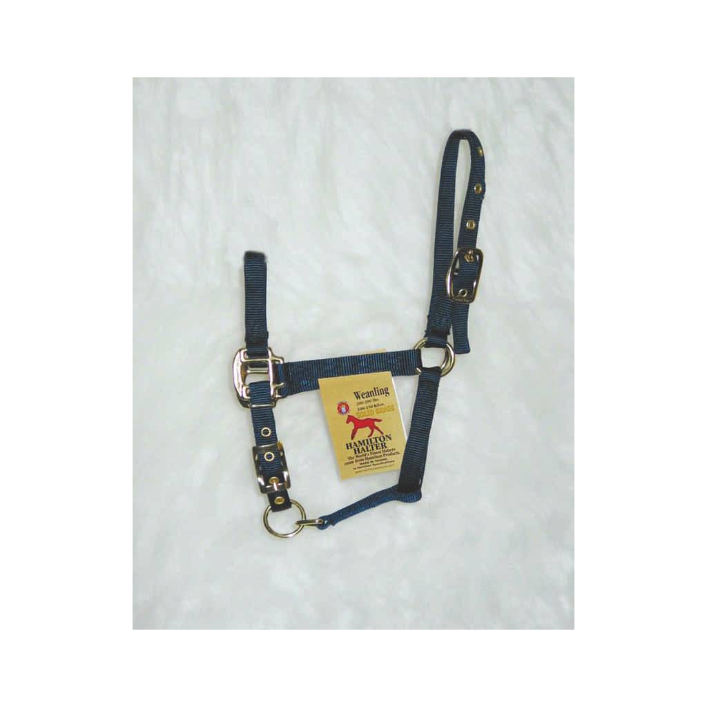 Hamilton Weanling Halter with Adjustable Chin and Snap